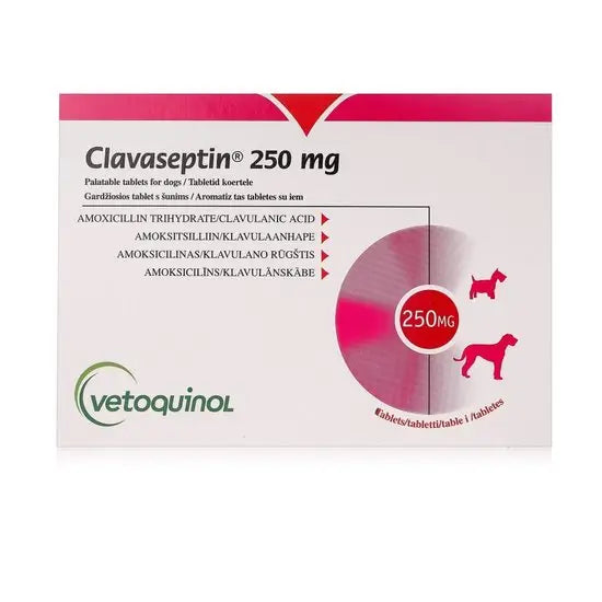 Clavaseptin® Palatable Tablets for Dogs 250mg