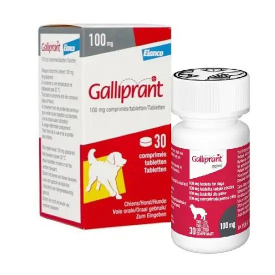 Galliprant® Tablets for Dogs 100mg