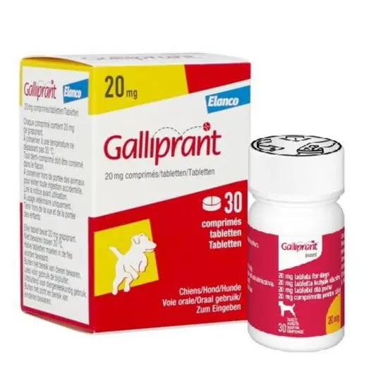 Galliprant® Tablets for Dogs 20mg