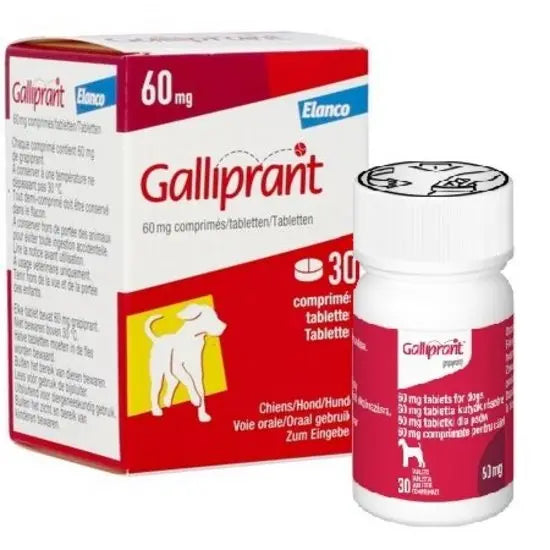 Galliprant® Tablets for Dogs 60mg