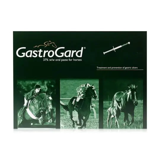 GastroGard® Oral Paste for Horses 37% w/w
