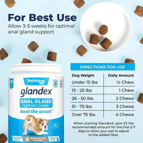 Glandex® Anal Gland Support Peanut Butter Soft Chews for Dogs