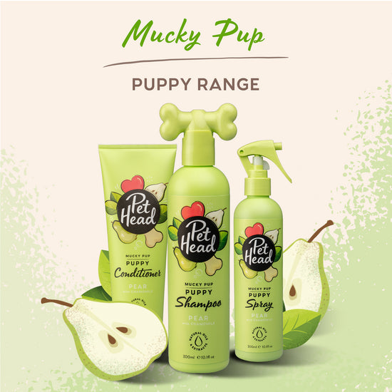 Pet Head Mucky Pup Puppy Shampoo for Dogs with Pear and Chamomile