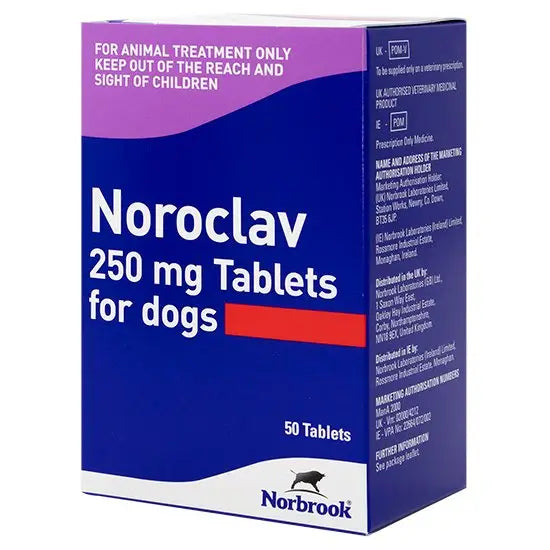 Noroclav® Tablets for Dogs 250mg