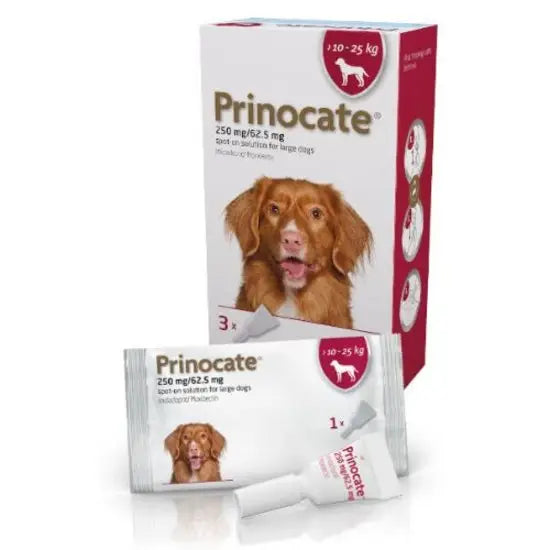 Prinocate® Spot-On Solution for Large Dogs 250mg/62.5mg (10kg-25kg)