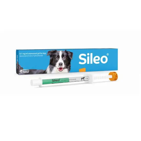 Sileo® Oromucosal Gel for Dogs 0.1mg/ml