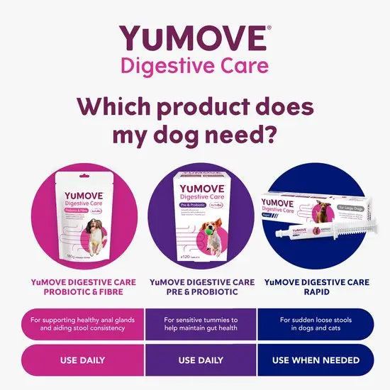 YuMOVE® Digestive Care Rapid Pre & Probiotic Paste for Large Dogs