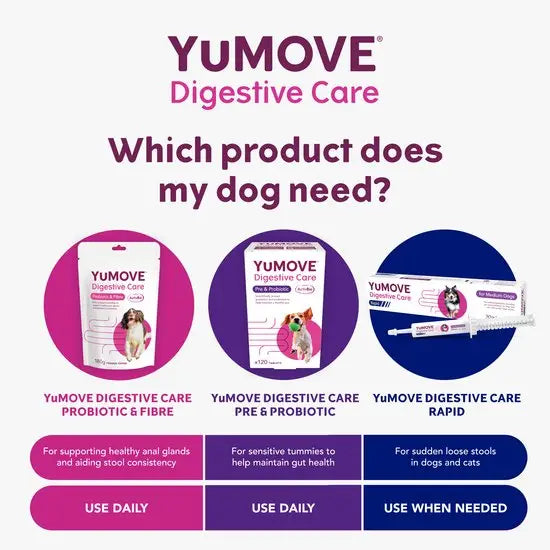 YuMOVE® Digestive Care Rapid Pre & Probiotic Paste for Medium Dogs
