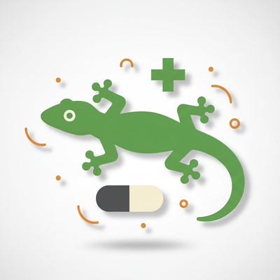 Reptiles collection image