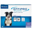 EFFIPRO® Spot-On Flea and Tick Treatment for Dogs