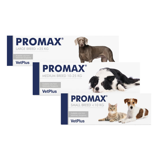 PROMAX® Digestive Function Support for Dogs and Cats
