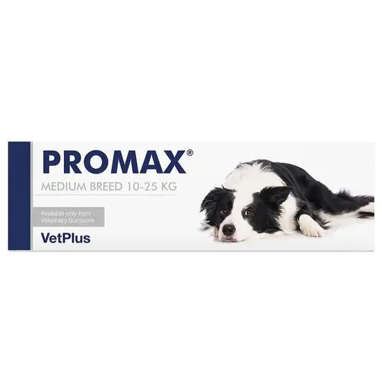 PROMAX® Digestive Function Support for Dogs and Cats