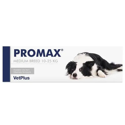PROMAX® Digestive Function Support for Dogs and Cats