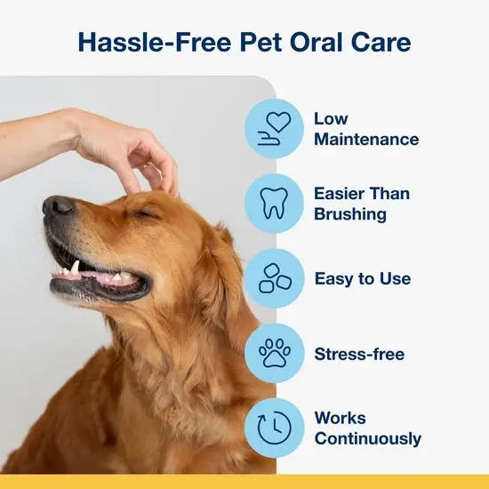 Proden PlaqueOff® Dental Soft Chews for Dogs