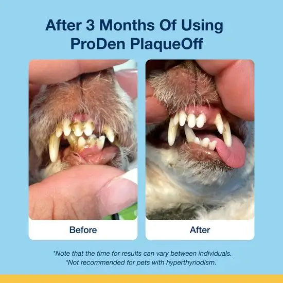 Proden PlaqueOff® Dental Soft Chews for Dogs