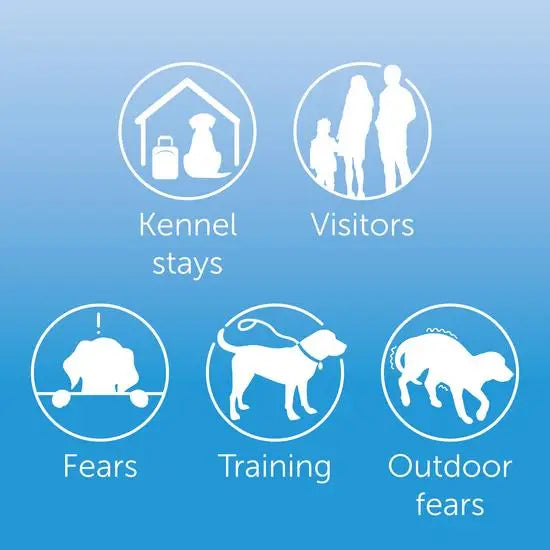 ADAPTIL® Dog Calming Pheromone Collar
