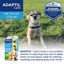 ADAPTIL® Dog Calming Pheromone Collar