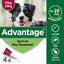 Advantage™ Spot-On Flea Treatment