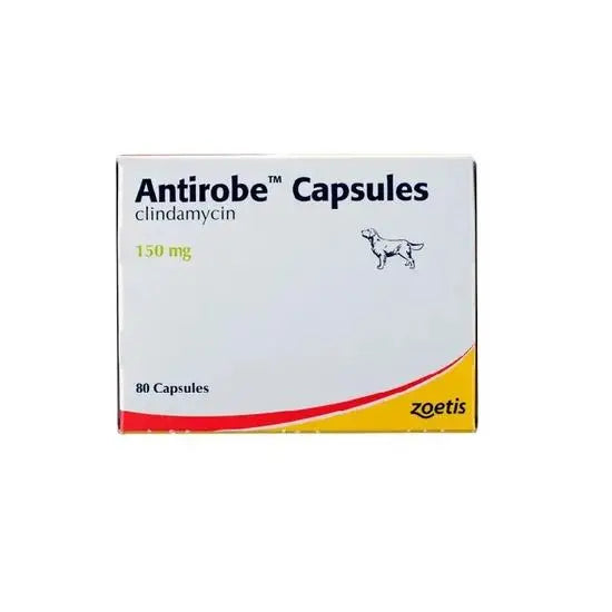 Antirobe® Capsules for Dogs 150mg
