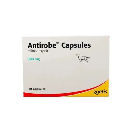 Antirobe® Capsules for Dogs 300mg