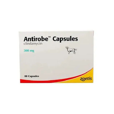 Antirobe® Capsules for Dogs 300mg