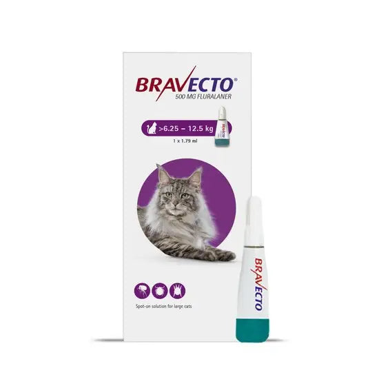 BRAVECTO® Spot-On Solution for Large Cats 500mg (6.25kg-12.5kg)