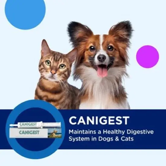 Canigest Digestive Maintenance Paste for Dogs & Cats