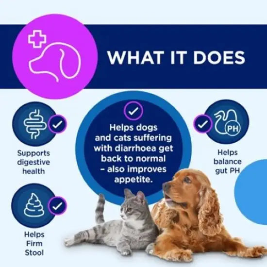 Canigest Digestive Maintenance Paste for Dogs & Cats