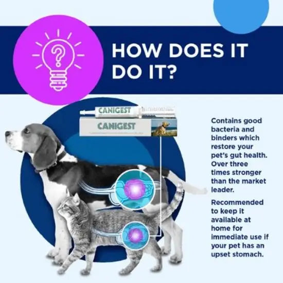 Canigest Digestive Maintenance Paste for Dogs & Cats