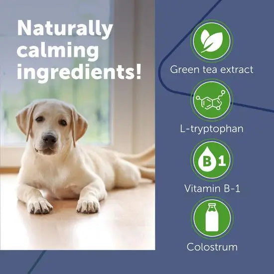 ADAPTIL® Dog Calming Chews Fast Acting