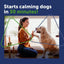 ADAPTIL® Dog Calming Chews Fast Acting
