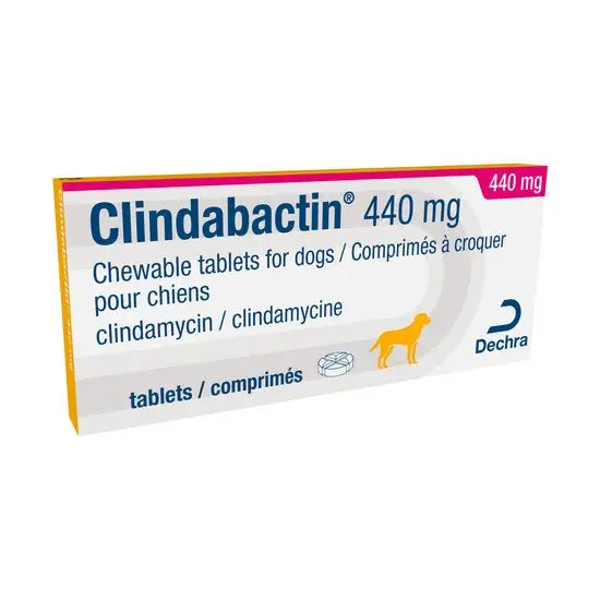 Clindabactin® Chewable Tablets for Dogs 440mg