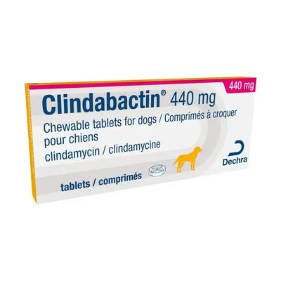 Clindabactin® Chewable Tablets for Dogs 440mg