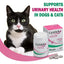 CystArk+ Urinary Health Powder Supplement for Cats & Dogs
