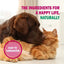CystArk+ Urinary Health Supplement Tablets for Cats & Dogs