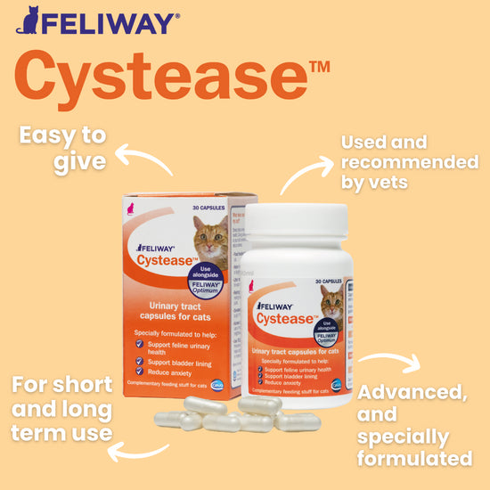 FELIWAY® Cystease™ Urinary Tract Support Capsules for Cats