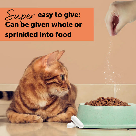 FELIWAY® Cystease™ Urinary Tract Support Capsules for Cats