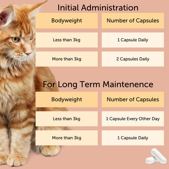 FELIWAY® Cystease™ Urinary Tract Support Capsules for Cats