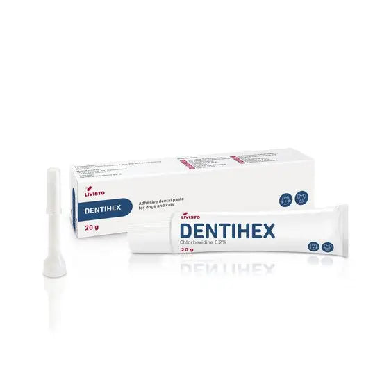 DENTIHEX® Adhesive Dental Paste for Dogs and Cats