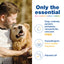 DOUXO® S3 PYO Leave-On Mousse Antibacterial Anti-Yeast for Dogs