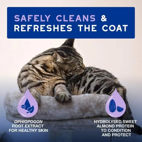 DOUXO® Skin & Coat SPA Ultra-Safe Low-Stress Refresh Leave-on Mousse for Cats