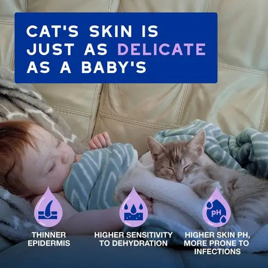 DOUXO® Skin & Coat SPA Ultra-Safe Low-Stress Refresh Leave-on Mousse for Cats