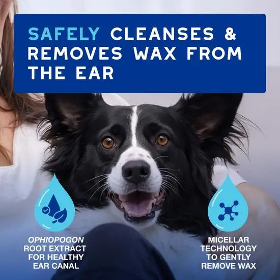 DOUXO® Skin & Coat SPA Ultra-Safe Ear Cleaner for Dogs and Cats