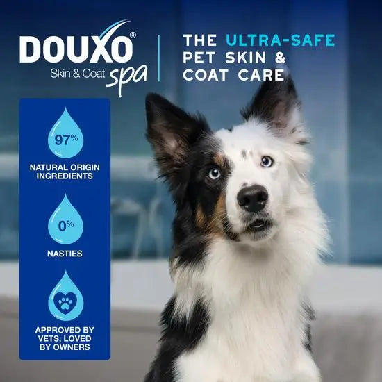 DOUXO® Skin & Coat SPA Ultra-Safe Ear Cleaner for Dogs and Cats