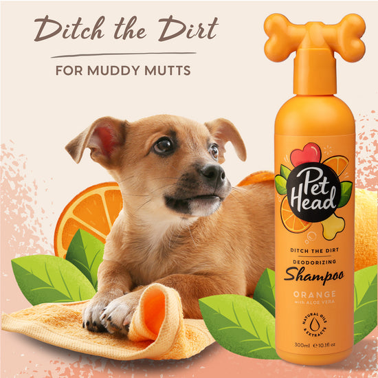 Pet Head Ditch The Dirt Deodorising Shampoo for Dogs with Orange and Aloe Vera