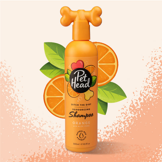 Pet Head Ditch The Dirt Deodorising Shampoo for Dogs with Orange and Aloe Vera