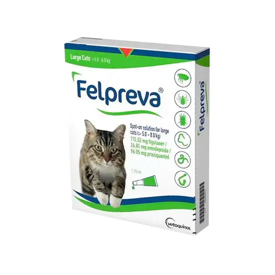 Felpreva® Spot-On Solution for Large Cats (5kg-8kg)