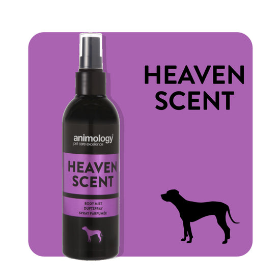 Animology® Heaven Scent Fragrance Mist for Dogs