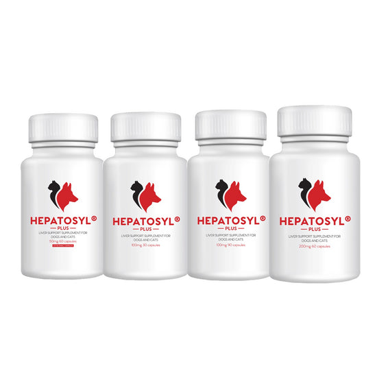 Hepatosyl® Plus Liver Support Supplement Capsules for Dogs and Cats