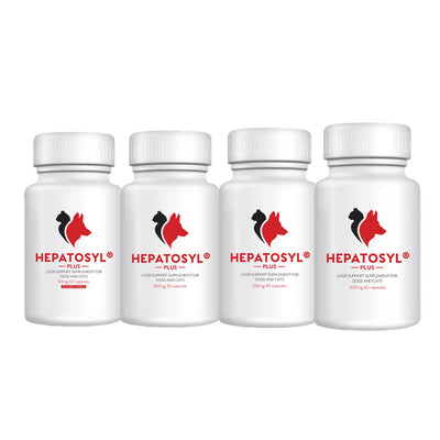 Hepatosyl® Plus Liver Support Supplement Capsules for Dogs and Cats